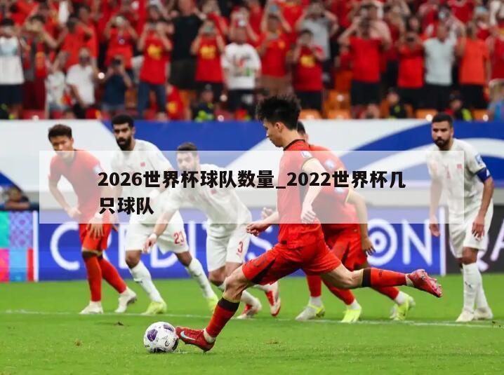 2026世界杯球队数量_2022世界杯几只球队