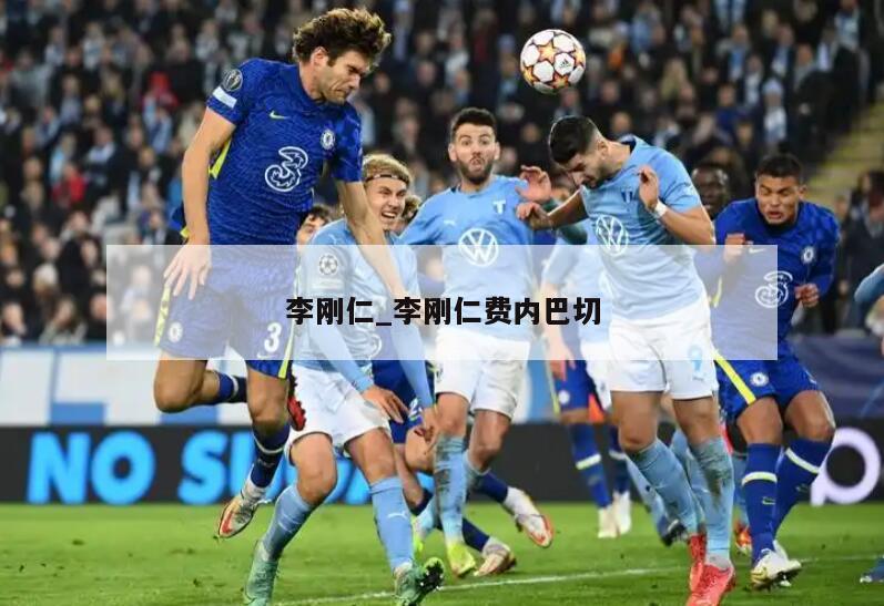 李刚仁_李刚仁费内巴切